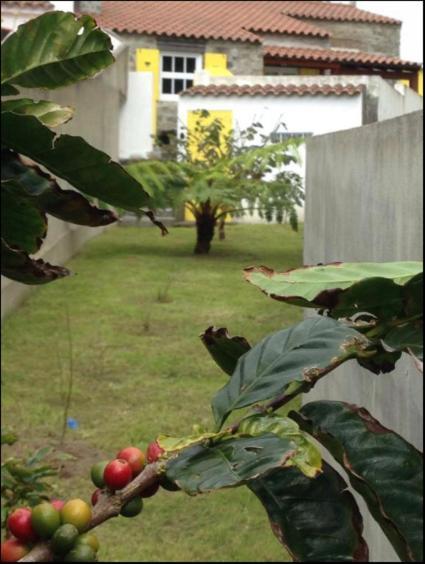 Villa Casa Auri à Faial da Terra Extérieur photo